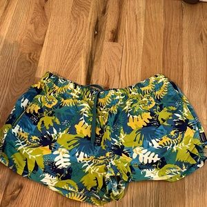 Patagonia Baggies Shorts